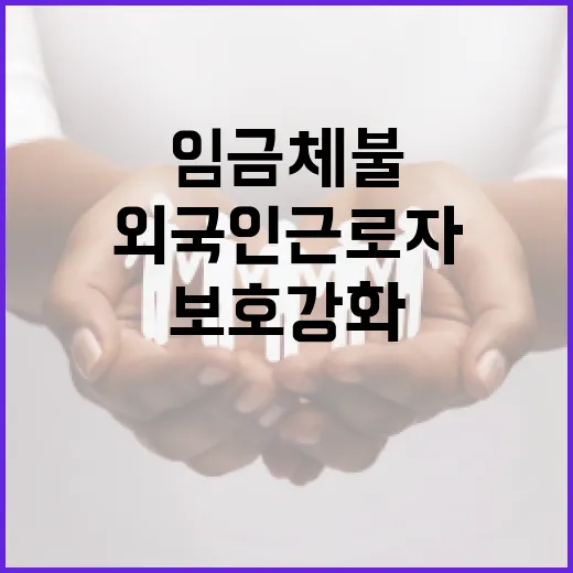 임금체불 외국인 근로자 보호 강화