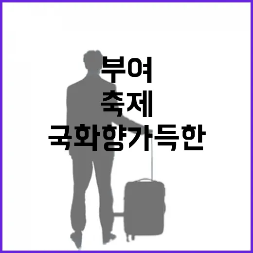 국화향 가득한 부여 궁남지 축제 현장