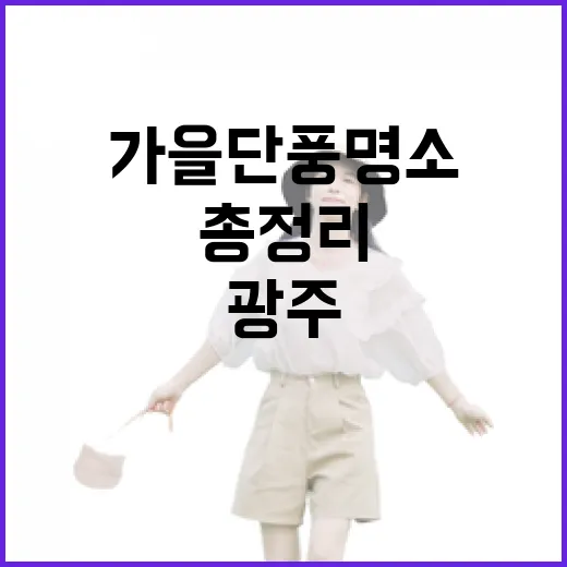 광주 가을 단풍 명소 총정리