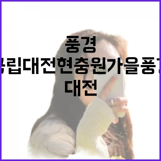 국립대전현충원 가을 풍경 명소 3선