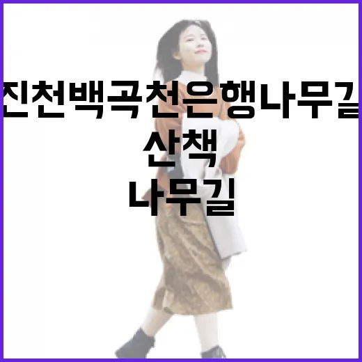 진천 백곡천 은행나무길 가을 풍경 산책