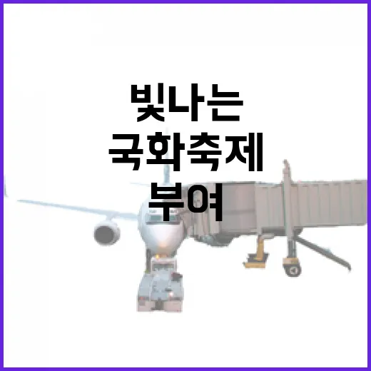 부여 국화축제, 밤에도 빛나는 꽃의 향연