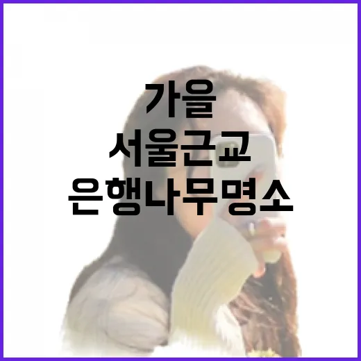 서울근교 가을 은행나무 명소 두 곳