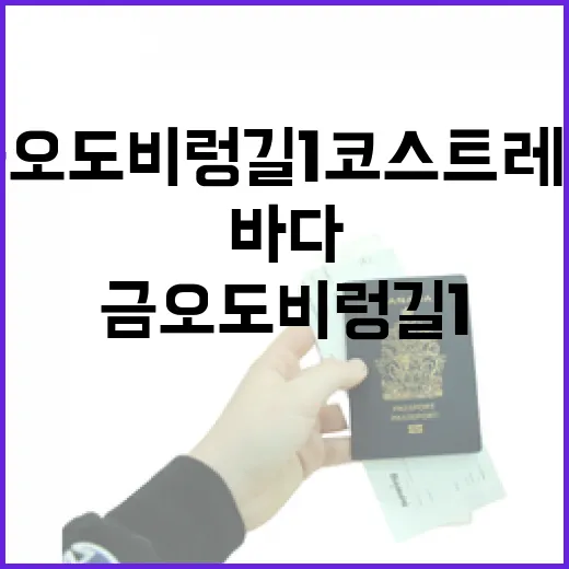 가을 바다 품은 금오도 비렁길 1코스 트레킹