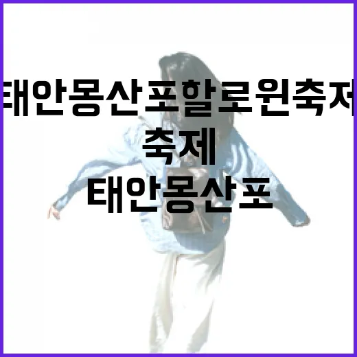 태안 몽산포 할로윈 축제 현장 스케치
