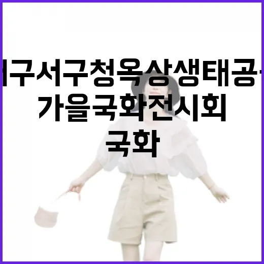 대구 서구청 옥상생태공원 가을 국화전시회