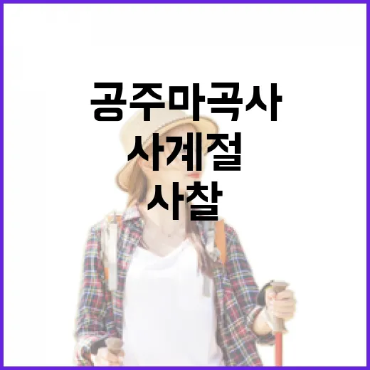 공주 마곡사, 사계절 빛나는 전통사찰