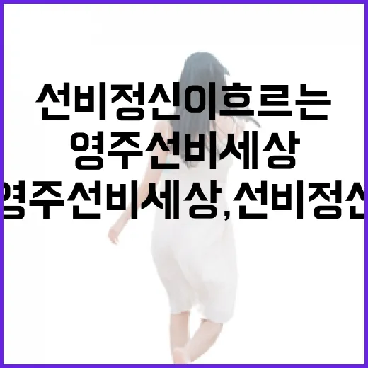 영주 선비세상, 선비 정신이 흐르는 전통 체험 공간