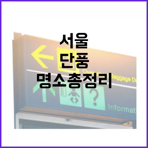 가을 단풍과 수변길, 서울 명소 총정리