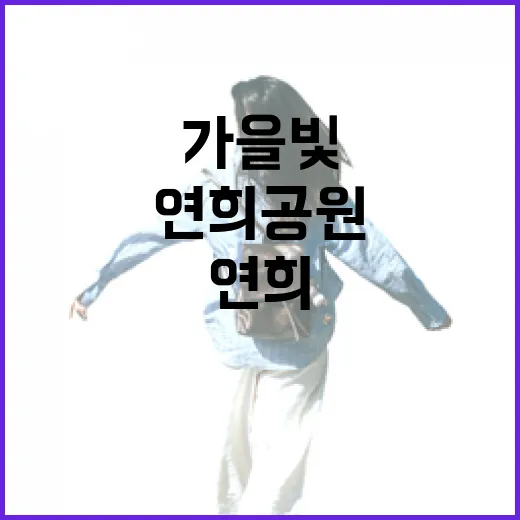 가을빛 물든 연희공원 자연마당 산책길
