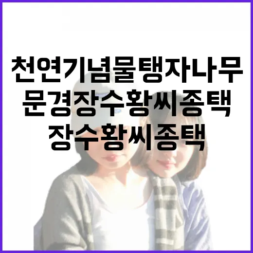 예산 의좋은 형제 공원 가을 여행기