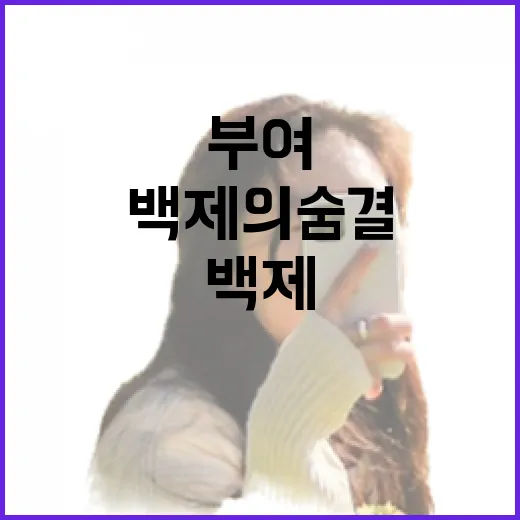 부여 가을, 백제의 숨결을 걷다