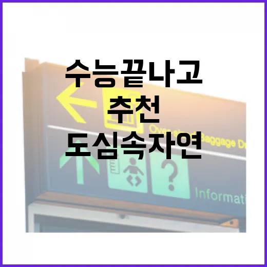 수능 끝나고 도심 속 자연 힐링 여행지 추천