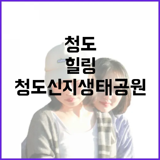 청도 신지생태공원, 자연과 역사의 힐링 산책길