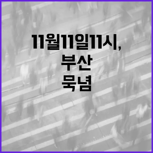 11월 11일 11시, 부산 향한 전 세계 묵념