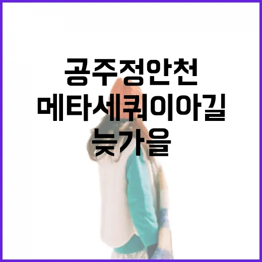 공주 정안천 메타세쿼이아길 늦가을 풍경