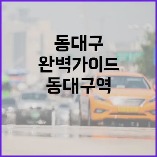 동대구역 출구별 편의시설 완벽 가이드