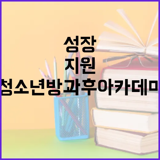 충남 청소년 방과후 아카데미, 방과 후 성장 지원의 중심