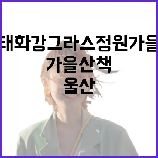 울산 태화강 그라스정원 가을 산책 명소