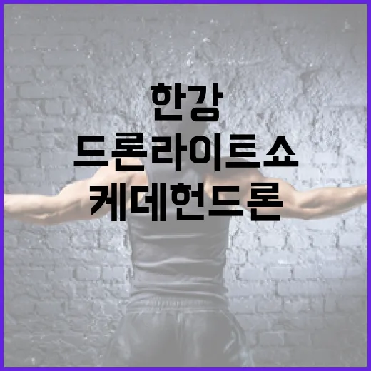 한강서 펼쳐지는 케데헌 드론 라이트 쇼 앙코르