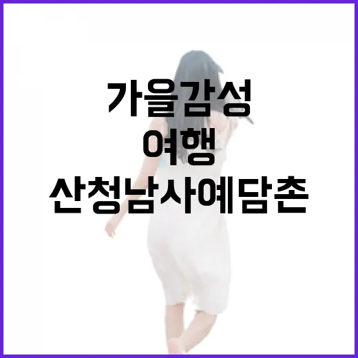 가을 감성 품은 산청 남사예담촌 여행