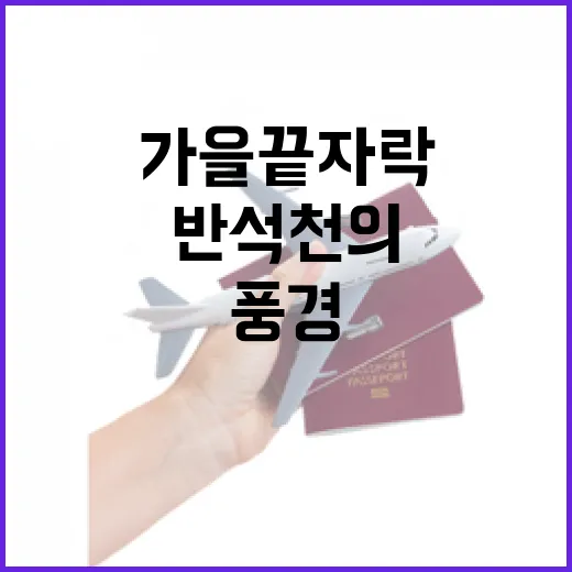 가을 끝자락 반석천의 겨울맞이 풍경