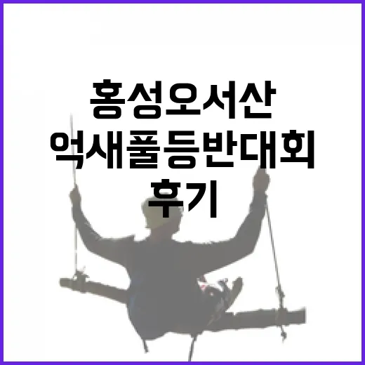 홍성 오서산 억새풀 등반대회 생생 후기