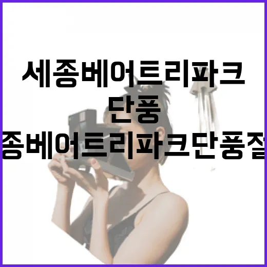 세종 베어트리파크 단풍 절정의 가을 풍경