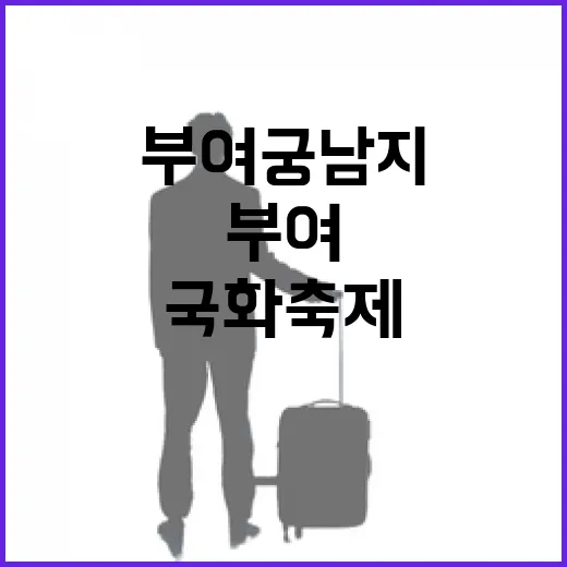 부여 궁남지 국화축제, 옛 추억과 새 감성의 만남