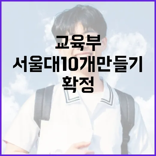 교육부, 12월까지 서울대 10개 만들기 구체안 확정 예고