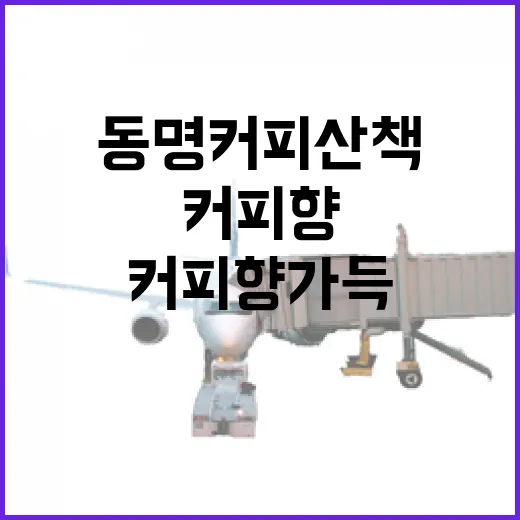 동명커피산책, 가을 골목에 커피 향 가득