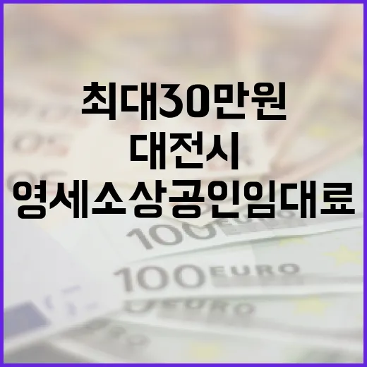 대전시, 영세 소상공인 임대료 최대 30만원 지원