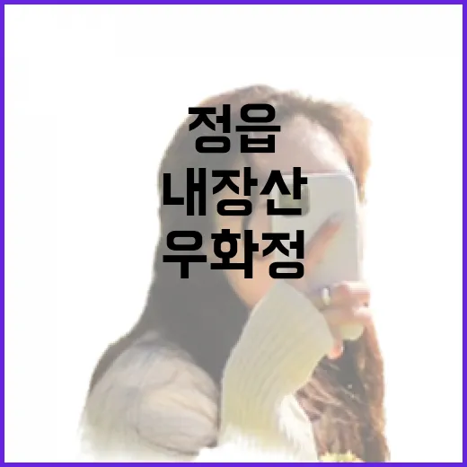 정읍 내장산 우화정 가을 단풍 명소