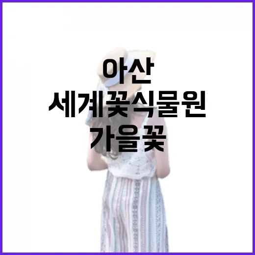 아산 세계꽃식물원 가을꽃 향연