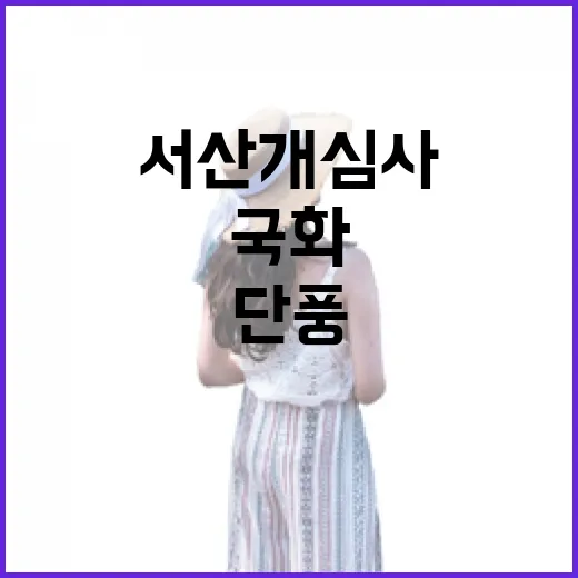 서산 개심사, 단풍과 국화의 예술 향연