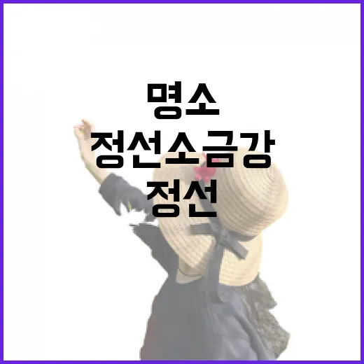 가을빛 물든 정선 소금강 명소 탐방