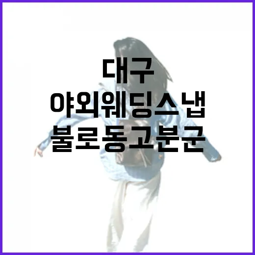 대구 불로동 고분군, 야외 웨딩스냅 명소