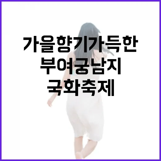 부여 궁남지 국화축제, 가을 향기 가득한 꽃길