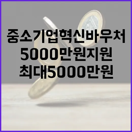 내년 중소기업 혁신바우처 최대 5000만원 지원