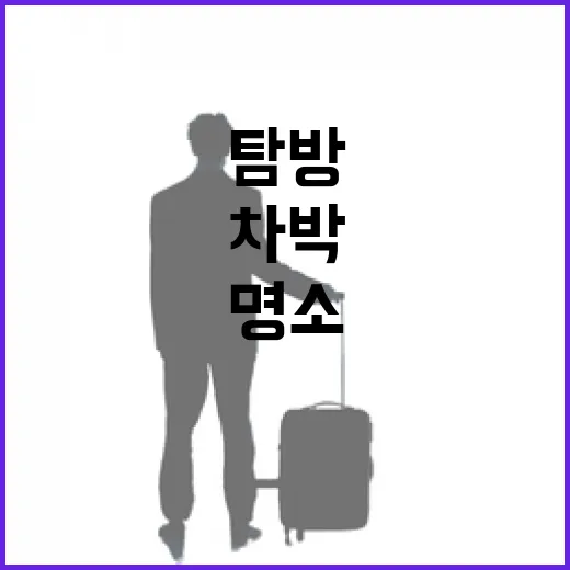 충남 차박과 온천 명소 집중 탐방