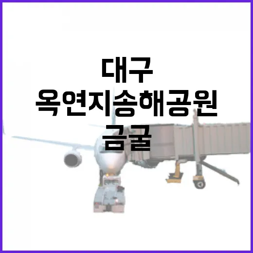 대구 옥연지 송해공원 금굴, 가족 나들이 명소