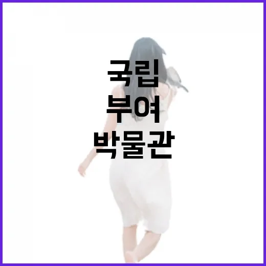 부여 국립박물관 미디어아트 체험기