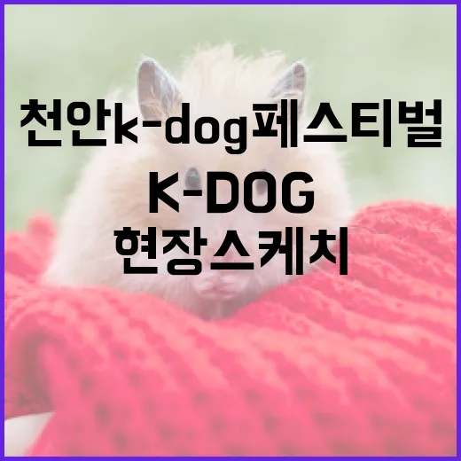 천안 K-DOG 페스티벌 현장 스케치