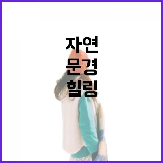 문경생태미로공원, 자연과 힐링의 미로 여행