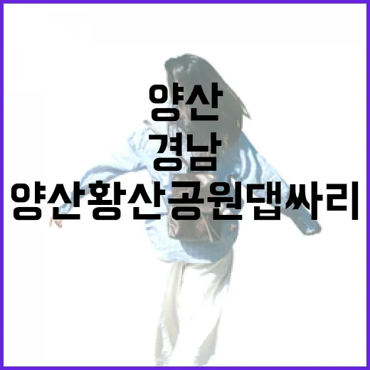 경남 양산 황산공원 댑싸리와 국화꽃 절정