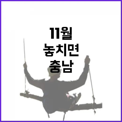 충남 11월 축제, 놓치면 안 될 명소