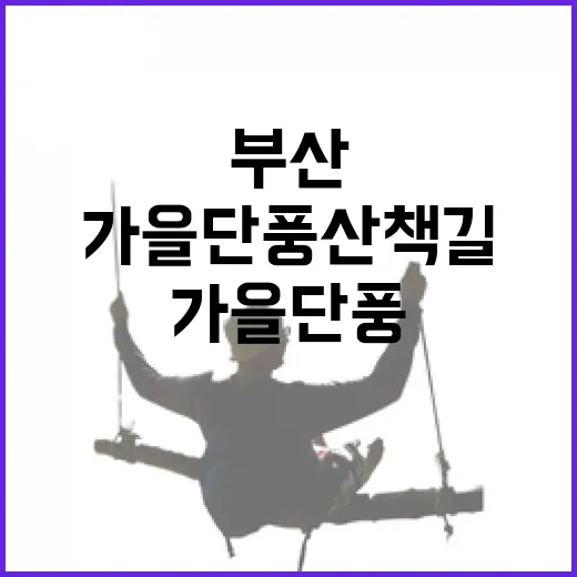 부산 남구·연제구 가을 단풍 산책길