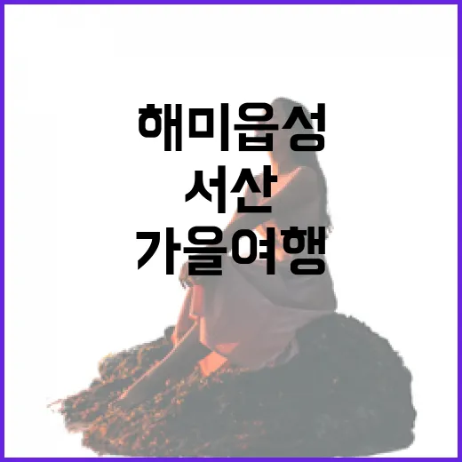 서산 해미읍성 가을 여행의 모든 것