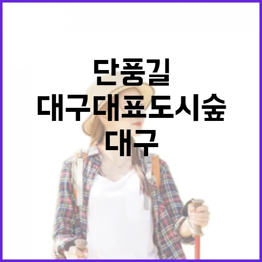 가을 단풍길, 대구대표도시숲 산책기