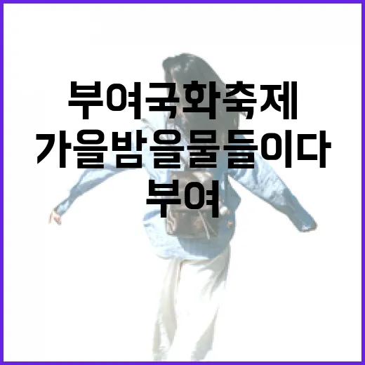 부여국화축제, 가을밤을 물들이다